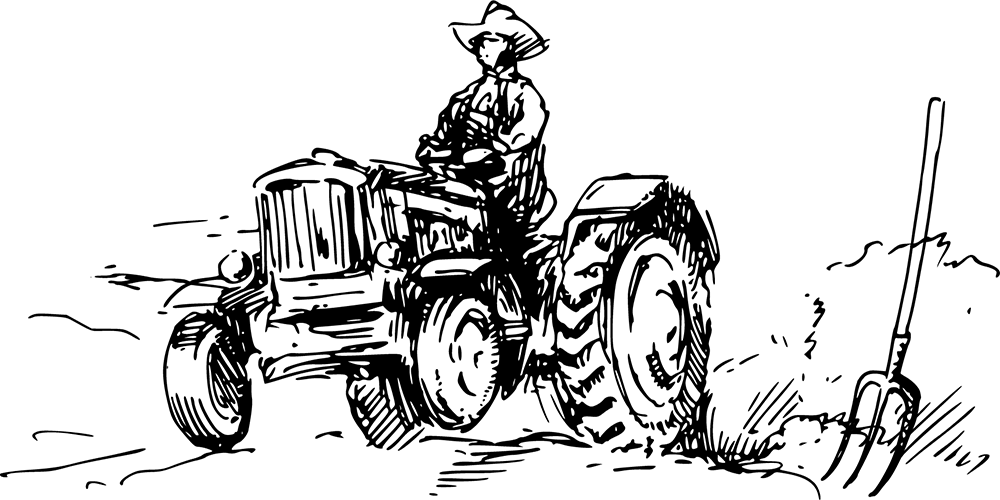 ecodreaminternational.com