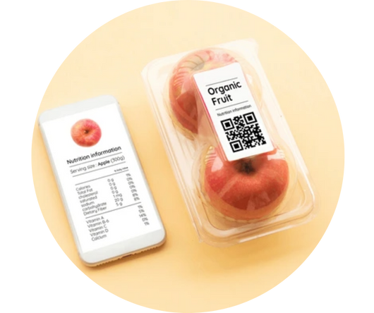 ecodreaminternational