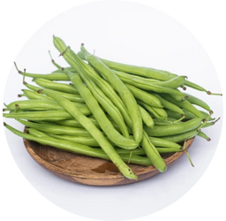 ecodreaminternational