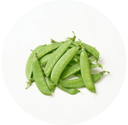 ecodreaminternational