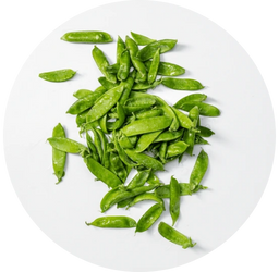 ecodreaminternational