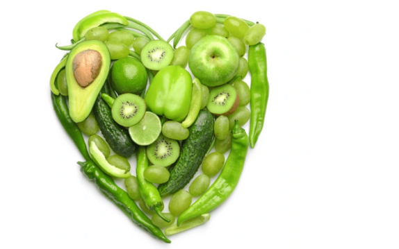 ecodreaminternational